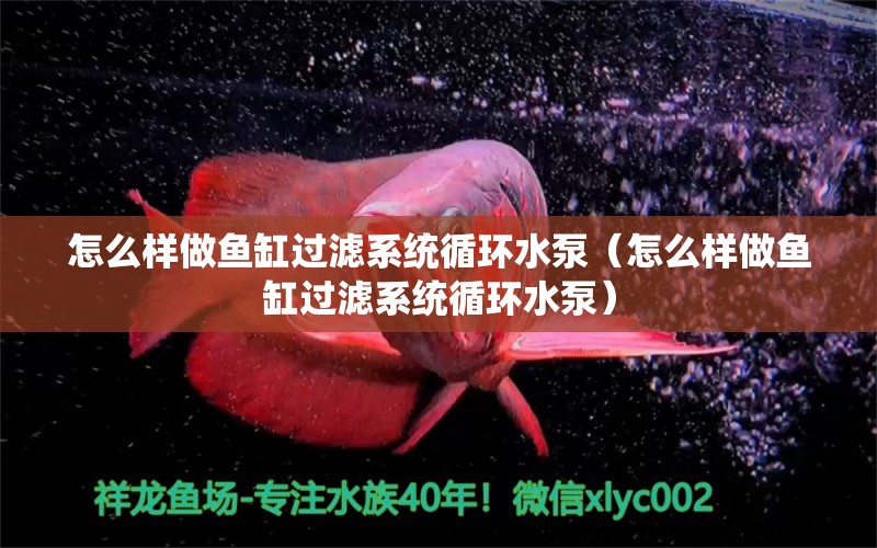 怎么樣做魚缸過濾系統(tǒng)循環(huán)水泵（怎么樣做魚缸過濾系統(tǒng)循環(huán)水泵） 其他品牌魚缸