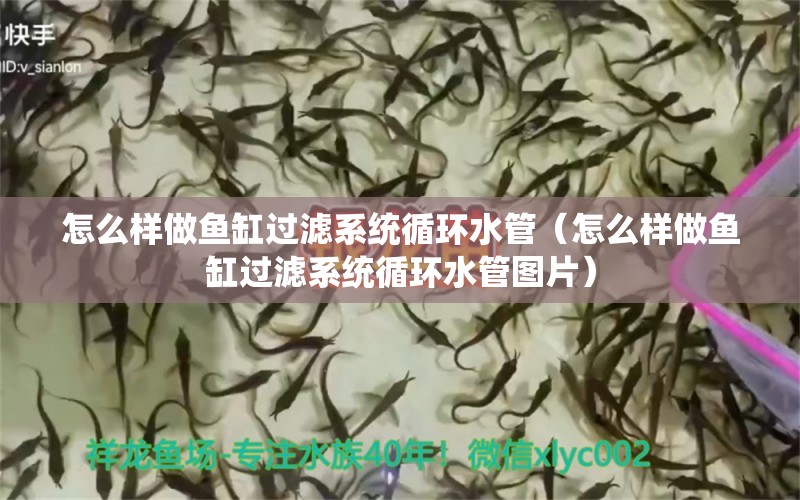 怎么樣做魚缸過濾系統(tǒng)循環(huán)水管（怎么樣做魚缸過濾系統(tǒng)循環(huán)水管圖片） 其他品牌魚缸