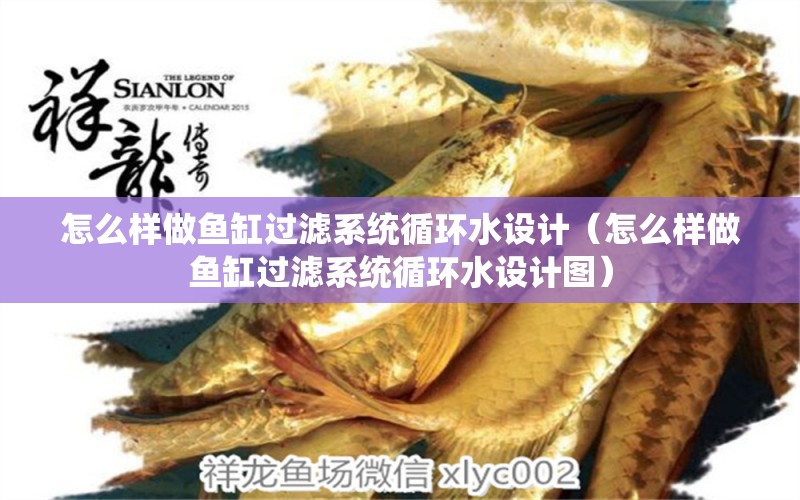 怎么樣做魚缸過濾系統(tǒng)循環(huán)水設(shè)計（怎么樣做魚缸過濾系統(tǒng)循環(huán)水設(shè)計圖）