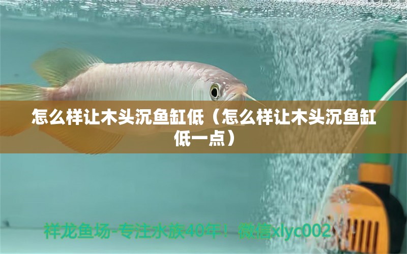 怎么樣讓木頭沉魚缸低（怎么樣讓木頭沉魚缸低一點(diǎn)）