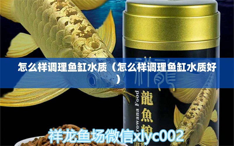 怎么樣調(diào)理魚缸水質(zhì)（怎么樣調(diào)理魚缸水質(zhì)好）