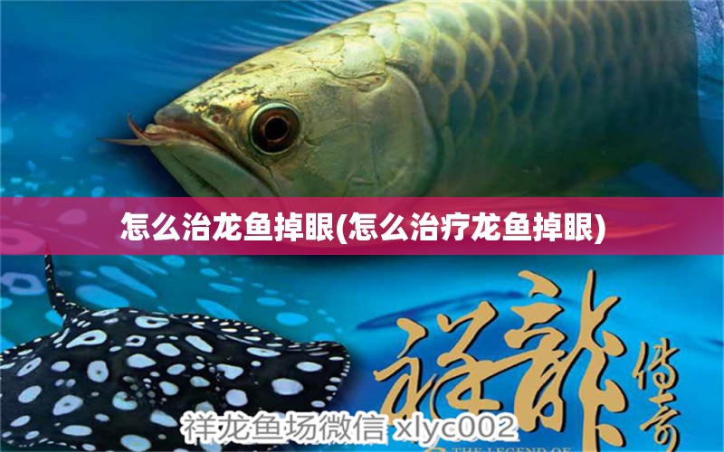 怎么治龍魚(yú)掉眼(怎么治療龍魚(yú)掉眼) 綠皮辣椒小紅龍