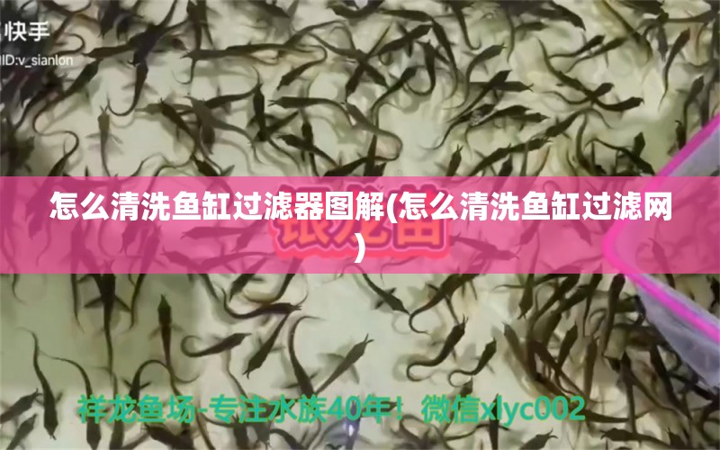 怎么清洗魚缸過濾器圖解(怎么清洗魚缸過濾網(wǎng))