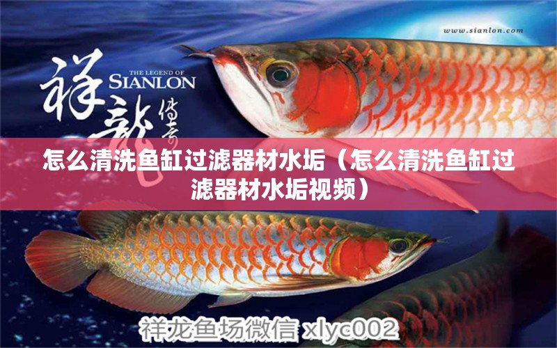 怎么清洗魚(yú)缸過(guò)濾器材水垢（怎么清洗魚(yú)缸過(guò)濾器材水垢視頻）