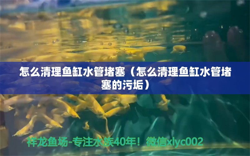 怎么清理魚缸水管堵塞（怎么清理魚缸水管堵塞的污垢） 觀賞魚市場（混養(yǎng)魚）