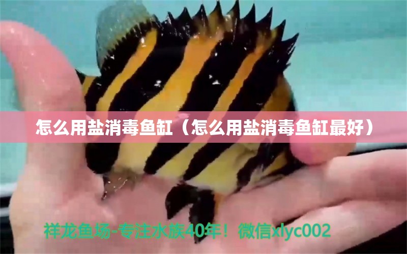 怎么用鹽消毒魚缸（怎么用鹽消毒魚缸最好）