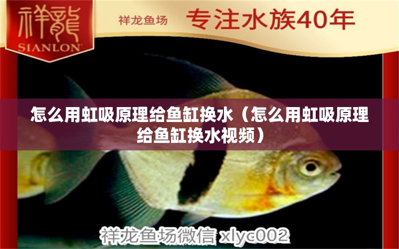 怎么用虹吸原理給魚(yú)缸換水（怎么用虹吸原理給魚(yú)缸換水視頻） 觀賞魚(yú)水族批發(fā)市場(chǎng)