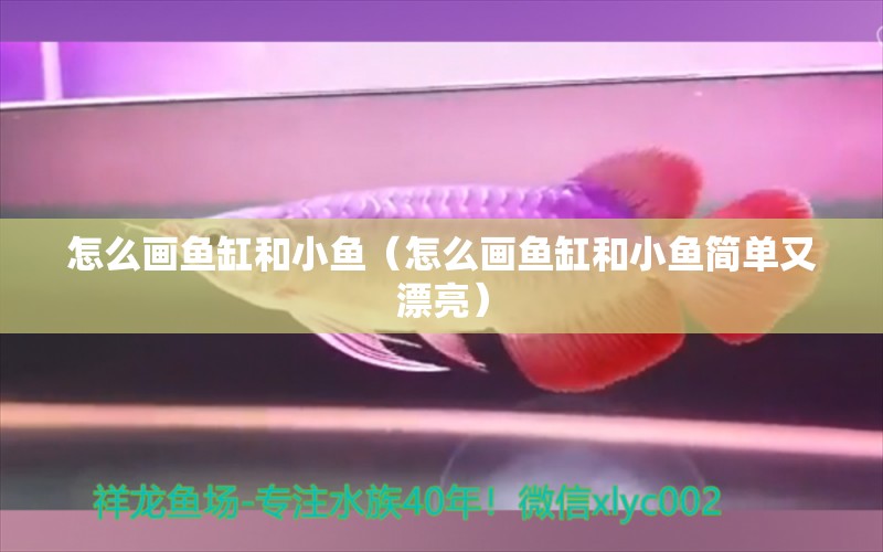 怎么畫魚缸和小魚（怎么畫魚缸和小魚簡單又漂亮）