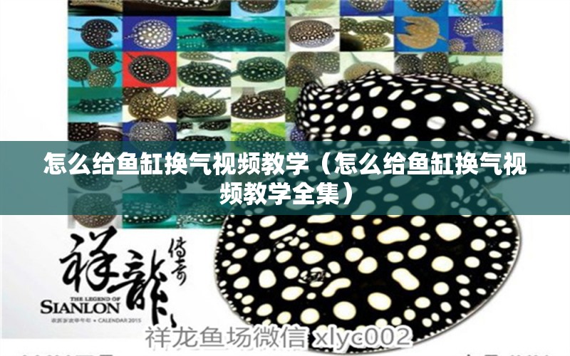 怎么給魚缸換氣視頻教學(xué)（怎么給魚缸換氣視頻教學(xué)全集）