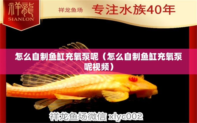 怎么自制魚缸充氧泵呢（怎么自制魚缸充氧泵呢視頻）