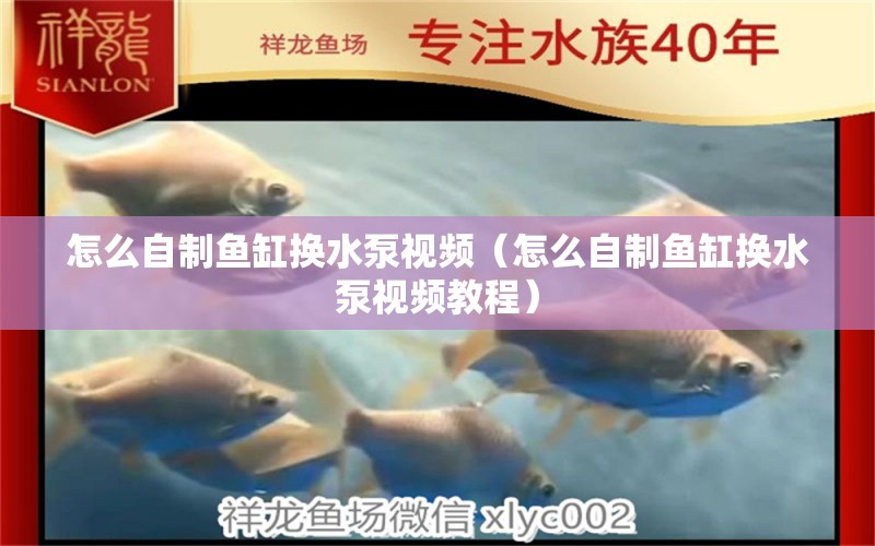 怎么自制魚缸換水泵視頻（怎么自制魚缸換水泵視頻教程） 祥龍魚場