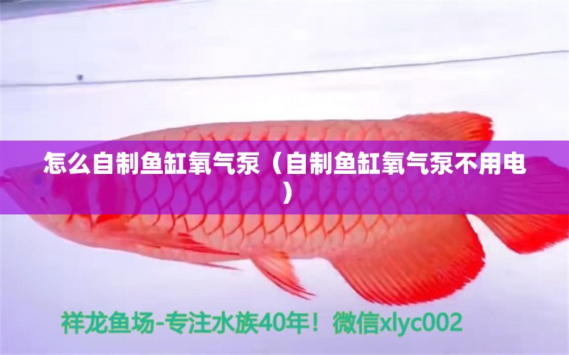 怎么自制魚缸氧氣泵（自制魚缸氧氣泵不用電）