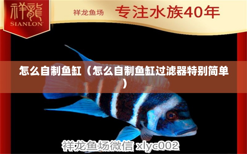 怎么自制魚缸（怎么自制魚缸過濾器特別簡單）