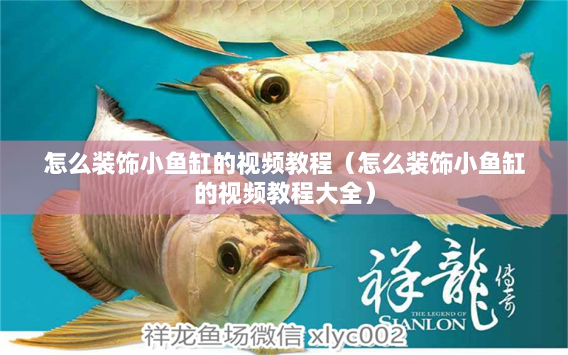 怎么裝飾小魚(yú)缸的視頻教程（怎么裝飾小魚(yú)缸的視頻教程大全） 祥龍水族醫(yī)院