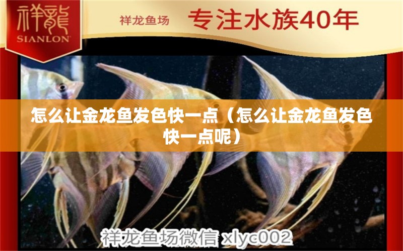 怎么讓金龍魚發(fā)色快一點（怎么讓金龍魚發(fā)色快一點呢）