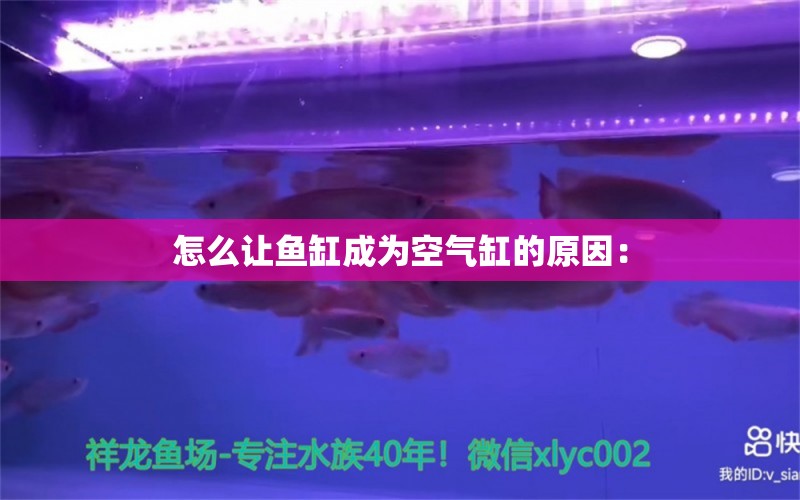 怎么讓魚(yú)缸成為空氣缸的原因：