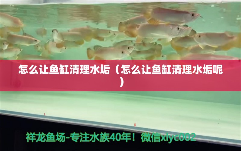 怎么讓魚缸清理水垢（怎么讓魚缸清理水垢呢） 祥龍魚場