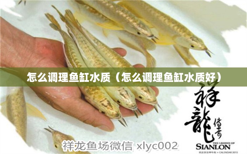 怎么調(diào)理魚缸水質(zhì)（怎么調(diào)理魚缸水質(zhì)好）