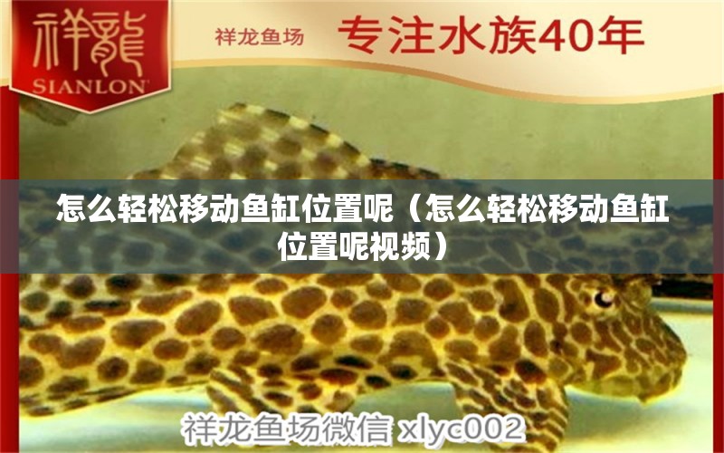 怎么輕松移動魚缸位置呢（怎么輕松移動魚缸位置呢視頻）