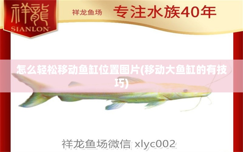 怎么輕松移動(dòng)魚缸位置圖片(移動(dòng)大魚缸的有技巧) 斑馬鴨嘴魚