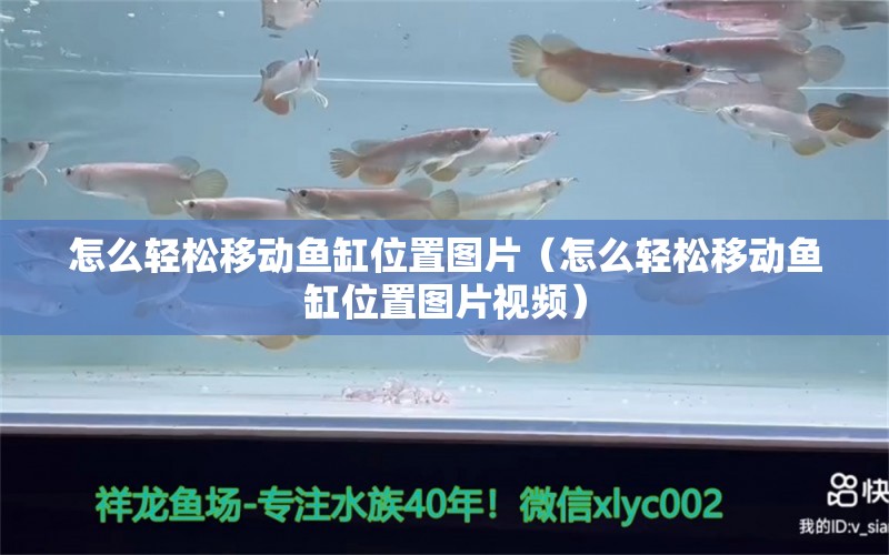 怎么輕松移動魚缸位置圖片（怎么輕松移動魚缸位置圖片視頻）