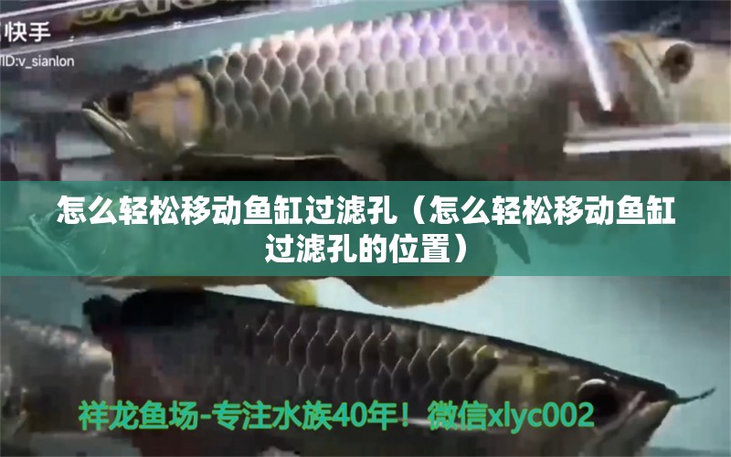 怎么輕松移動魚缸過濾孔（怎么輕松移動魚缸過濾孔的位置）