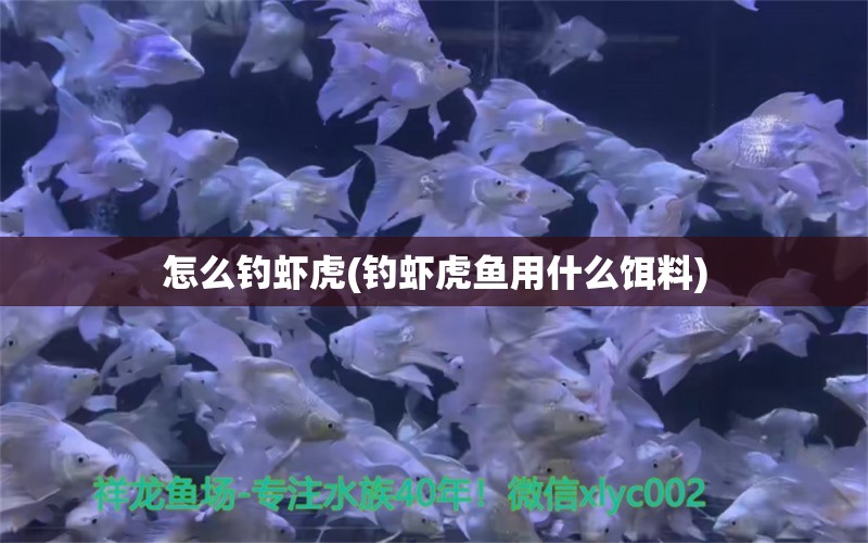 怎么釣蝦虎(釣蝦虎魚用什么餌料) 垂釣樂園