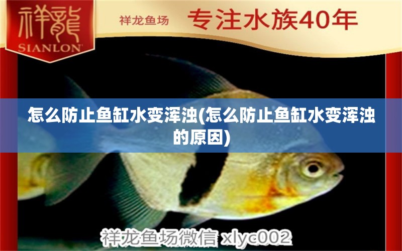 怎么防止魚缸水變渾濁(怎么防止魚缸水變渾濁的原因) 胭脂孔雀龍魚