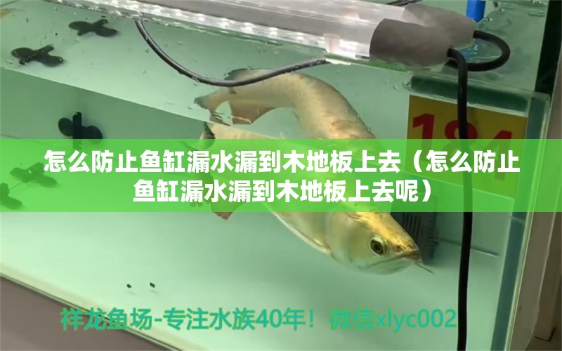 怎么防止魚(yú)缸漏水漏到木地板上去（怎么防止魚(yú)缸漏水漏到木地板上去呢）