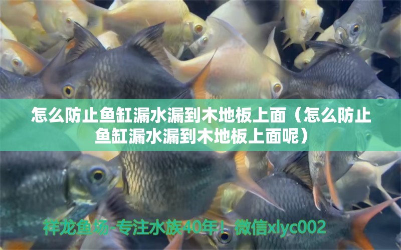 怎么防止魚缸漏水漏到木地板上面（怎么防止魚缸漏水漏到木地板上面呢） 其他品牌魚缸