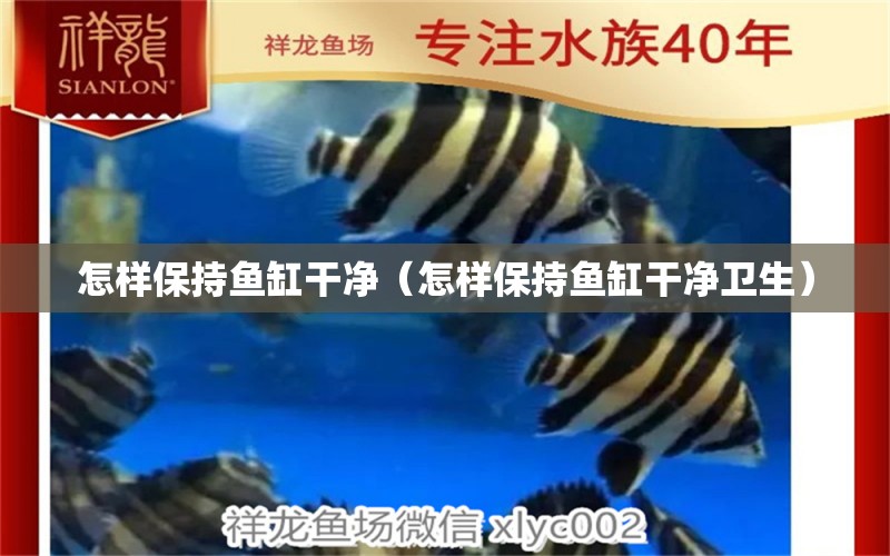 怎樣保持魚缸干凈（怎樣保持魚缸干凈衛(wèi)生） 觀賞魚市場(chǎng)（混養(yǎng)魚）