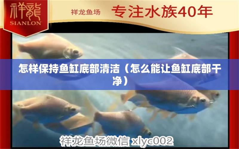 怎樣保持魚缸底部清潔（怎么能讓魚缸底部干凈） 除藻劑