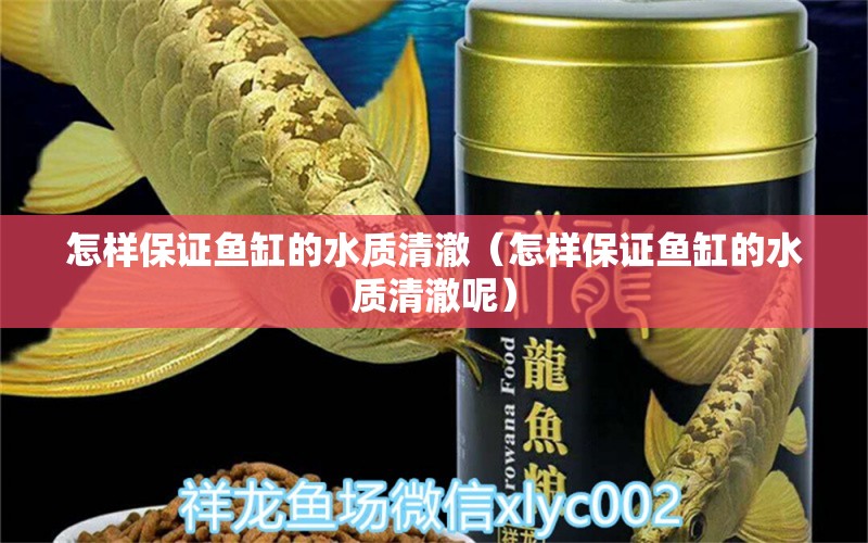 怎樣保證魚缸的水質(zhì)清澈（怎樣保證魚缸的水質(zhì)清澈呢）