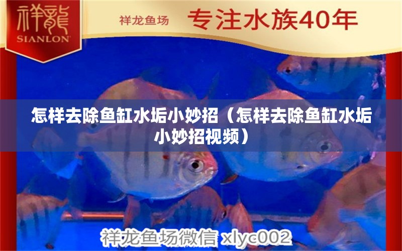 怎樣去除魚缸水垢小妙招（怎樣去除魚缸水垢小妙招視頻） 觀賞魚市場(chǎng)（混養(yǎng)魚）