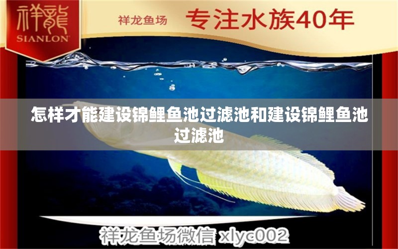 怎樣才能建設錦鯉魚池過濾池和建設錦鯉魚池過濾池 觀賞魚批發(fā)