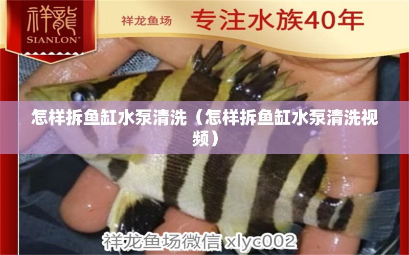 怎樣拆魚(yú)缸水泵清洗（怎樣拆魚(yú)缸水泵清洗視頻） 魚(yú)缸水泵