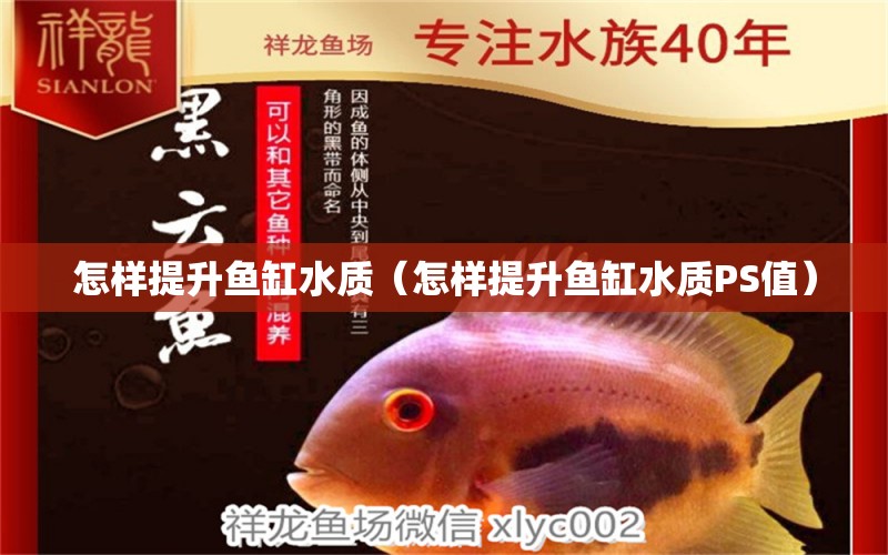 怎樣提升魚缸水質(zhì)（怎樣提升魚缸水質(zhì)PS值） 其他品牌魚缸