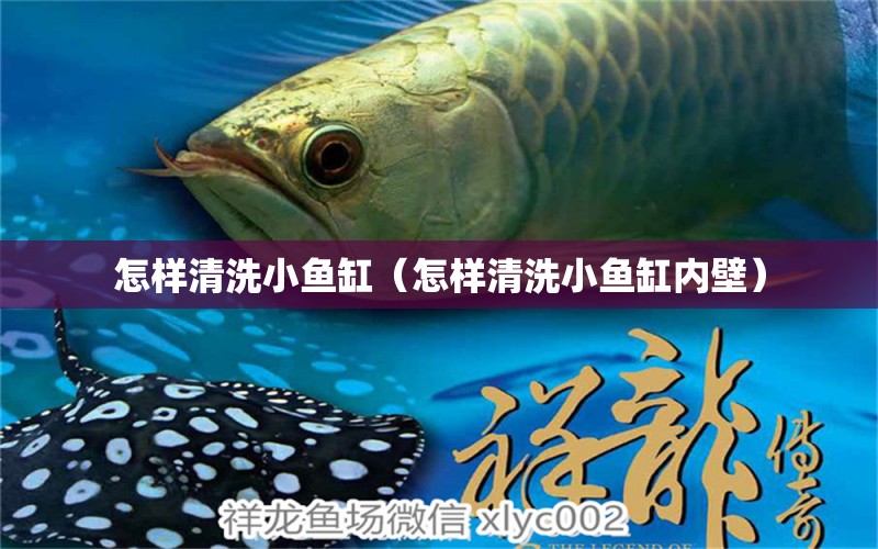 怎樣清洗小魚缸（怎樣清洗小魚缸內(nèi)壁）