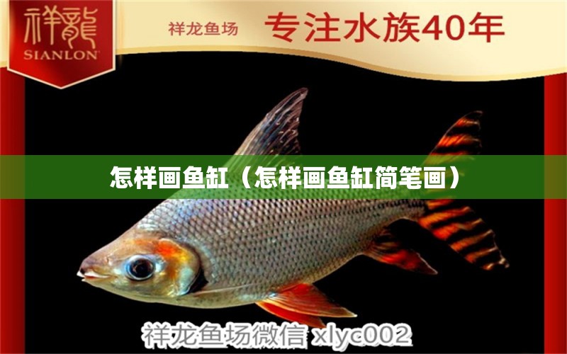 怎樣畫魚缸（怎樣畫魚缸簡筆畫）