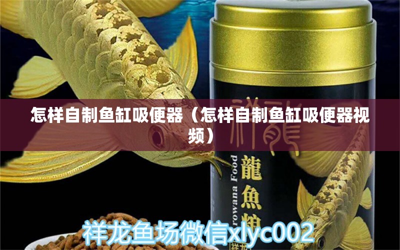 怎樣自制魚缸吸便器（怎樣自制魚缸吸便器視頻）