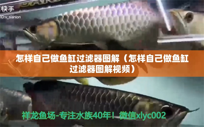 怎樣自己做魚缸過濾器圖解（怎樣自己做魚缸過濾器圖解視頻）