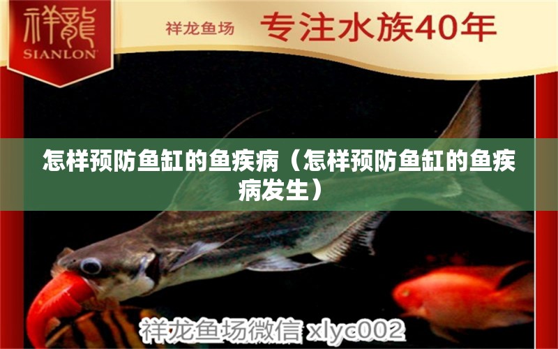 怎樣預(yù)防魚(yú)缸的魚(yú)疾病（怎樣預(yù)防魚(yú)缸的魚(yú)疾病發(fā)生） 印尼四紋虎