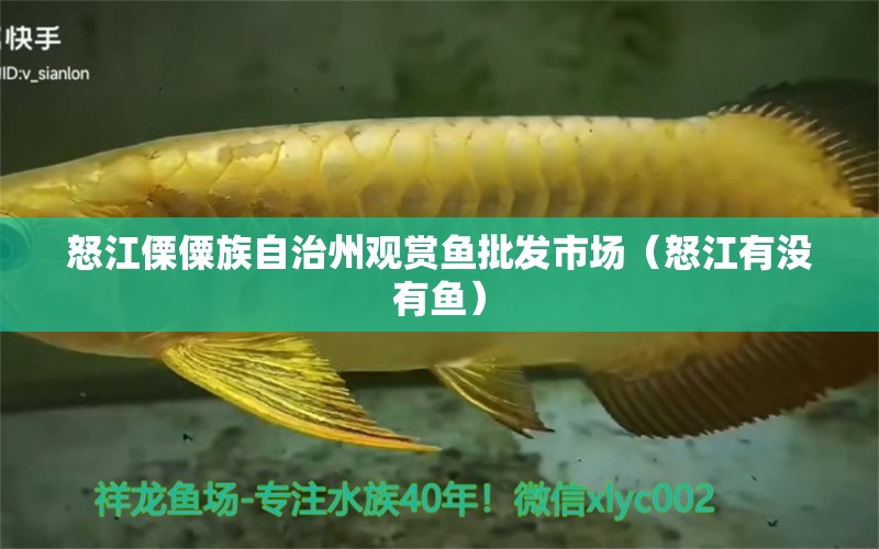 怒江傈僳族自治州觀賞魚批發(fā)市場（怒江有沒有魚）