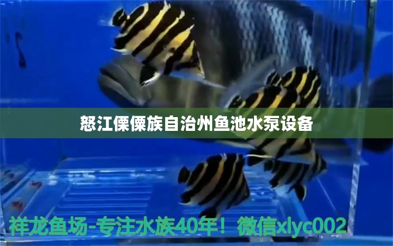 怒江傈僳族自治州魚池水泵設備