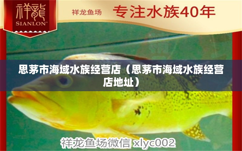 思茅市海域水族經(jīng)營(yíng)店（思茅市海域水族經(jīng)營(yíng)店地址） 全國(guó)水族館企業(yè)名錄