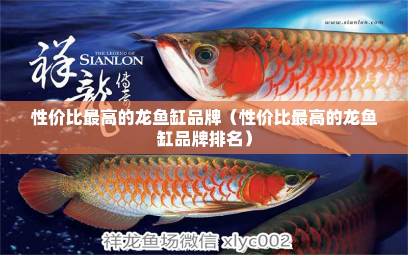 性價(jià)比最高的龍魚缸品牌（性價(jià)比最高的龍魚缸品牌排名） 圖騰金龍魚