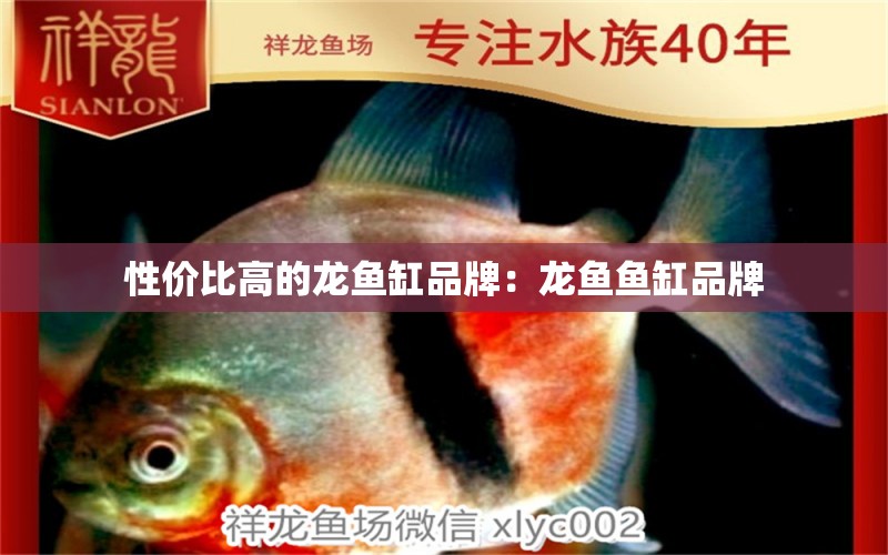 性?xún)r(jià)比高的龍魚(yú)缸品牌：龍魚(yú)魚(yú)缸品牌