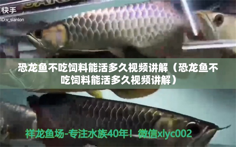 恐龍魚不吃飼料能活多久視頻講解（恐龍魚不吃飼料能活多久視頻講解） 金龍魚糧