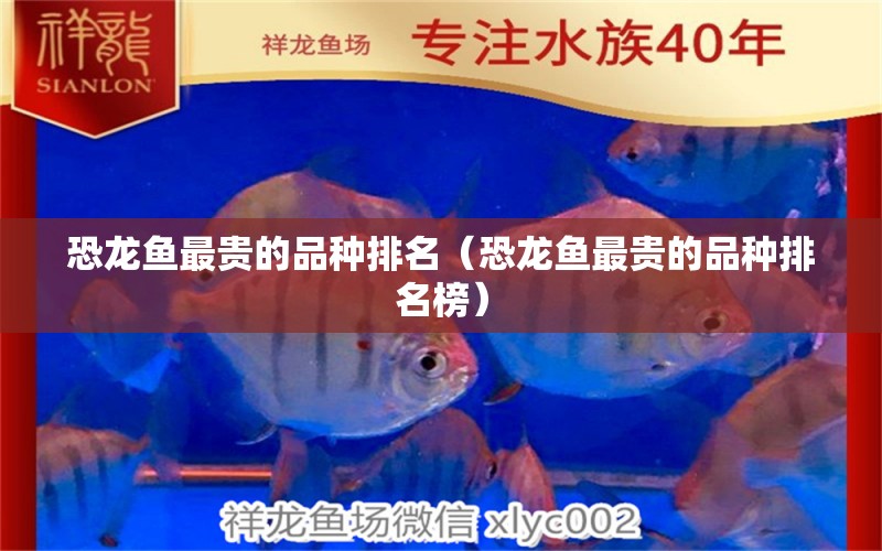 恐龍魚最貴的品種排名（恐龍魚最貴的品種排名榜）