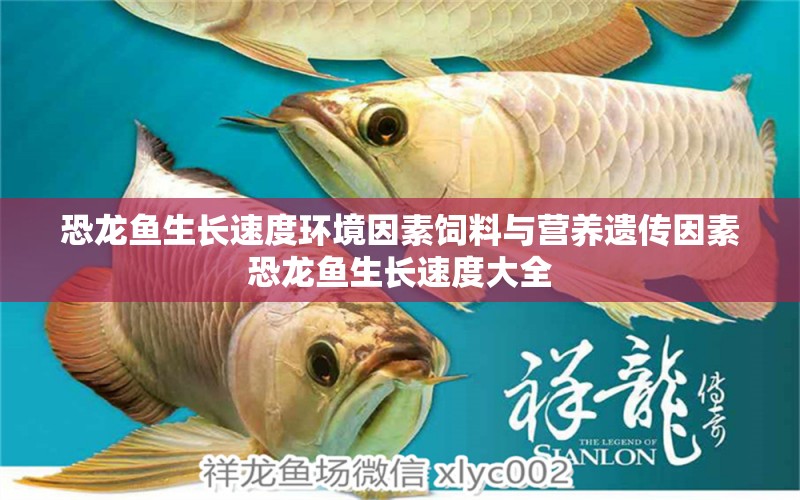 恐龍魚生長速度環(huán)境因素飼料與營養(yǎng)遺傳因素恐龍魚生長速度大全